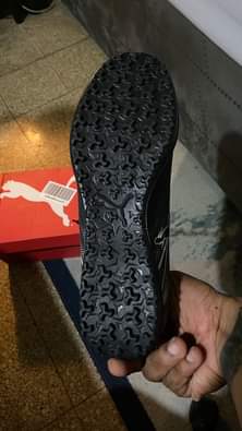 puma