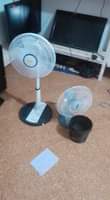 A picture of Stand feni