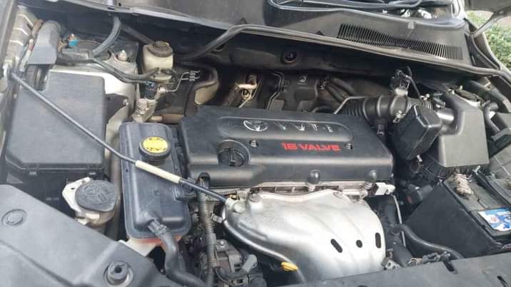 A picture of Toyota rav4 killtime