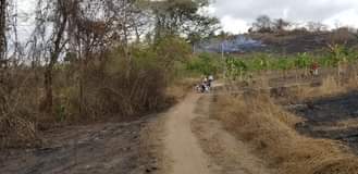 A picture of Shamba linauzwa Msanga wilaya ya kisarawe laki 4 EKALI 1