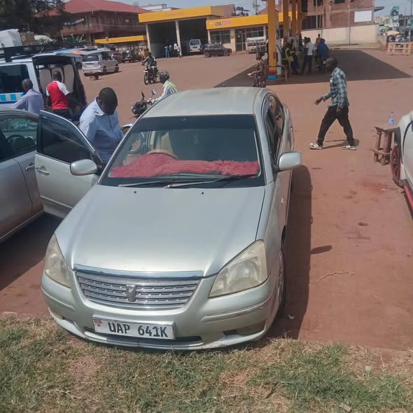 A picture of Vitz