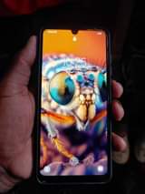 A picture of Samsung A310
