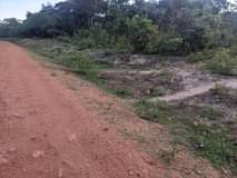 chisamba