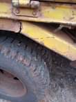 A picture of Canter on quick sale