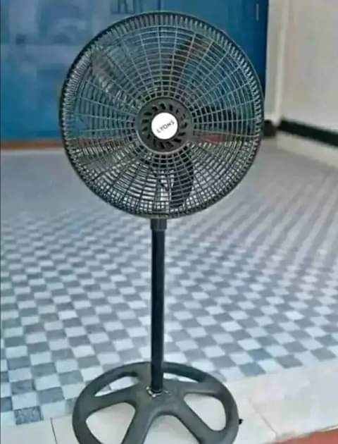 fans