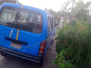 A picture of Mini bus