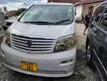 A picture of T31 and ALPHARD