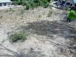 A picture of KIWANJA KIKUBWA MNOO KIZURI SANA KINAUZWA BEI CHEE KABISA