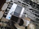 A picture of HP Laptop
