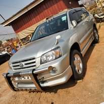 A picture of KLUGER 2006 35M