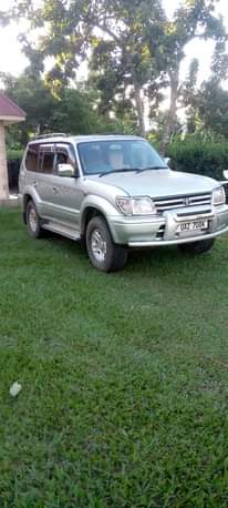 A picture of Toyota Prado
