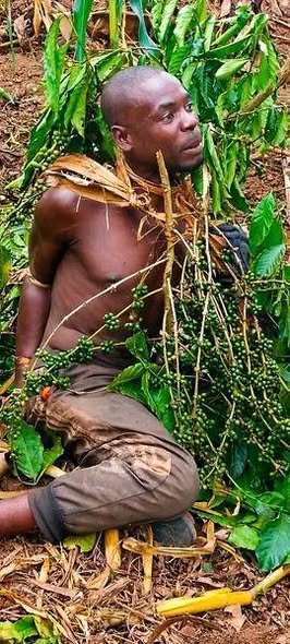 A picture of Kaze kwamuganga makoma 1 kubibwe turabagaruriza 2 kubafise inyatsi yokutaronka