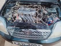 Christeenmmutuku M.