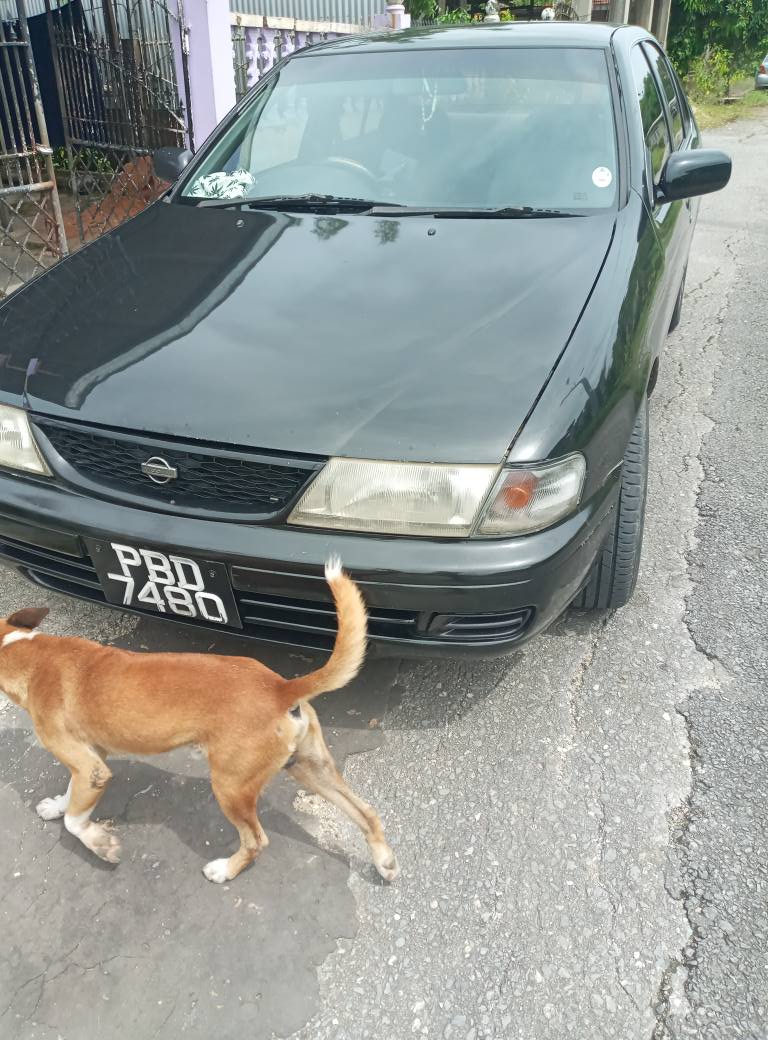 cars for trade