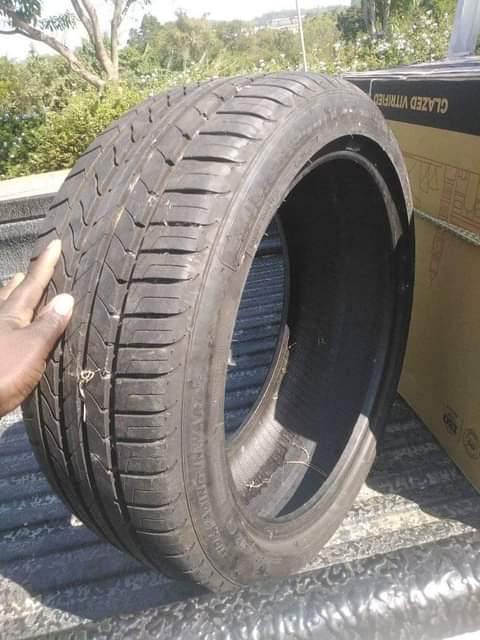 Mpumalanga L.