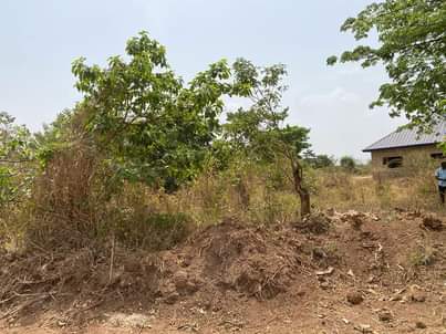 Owusu A.