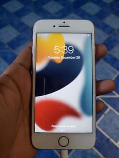 Fa T.