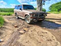 diesel engine vehicles