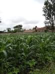 A picture of Kiwanja kinaunzwa burka arusha