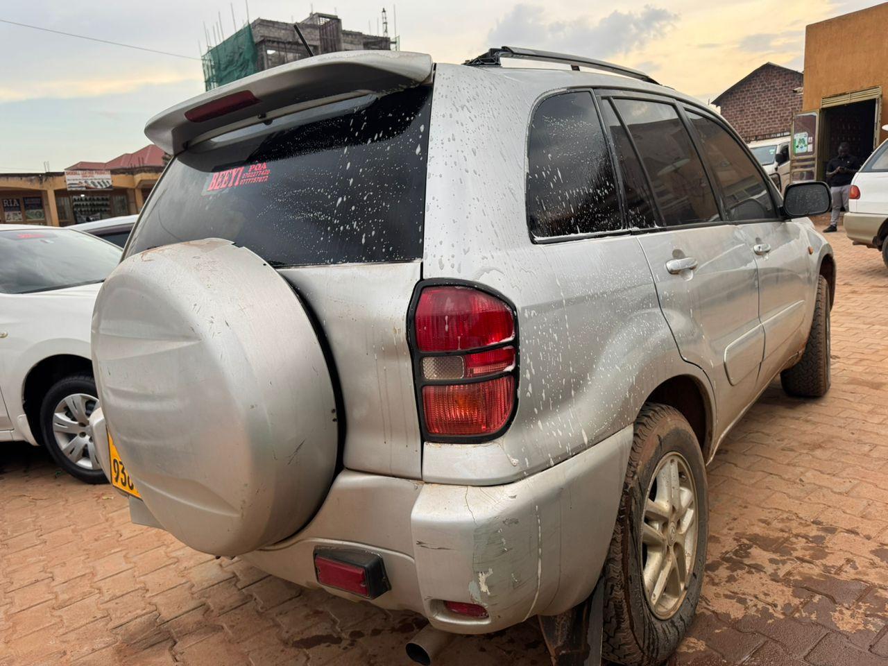 A picture of Rav 4