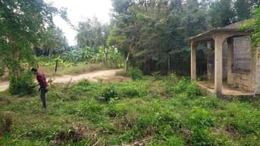 A picture of Boma