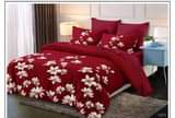A picture of 4 PIECE DUVET