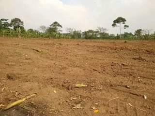 A picture of NEW ESTATE is opened located in kalasa along matugga semuto