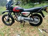 A picture of BOXER KALI SANA BEI 1550000
