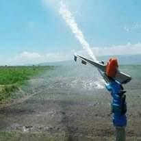 A picture of Irrigation