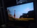 A picture of Samsung tv inchi 24