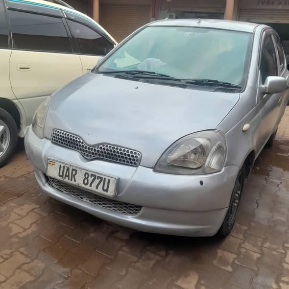 A picture of Vitz