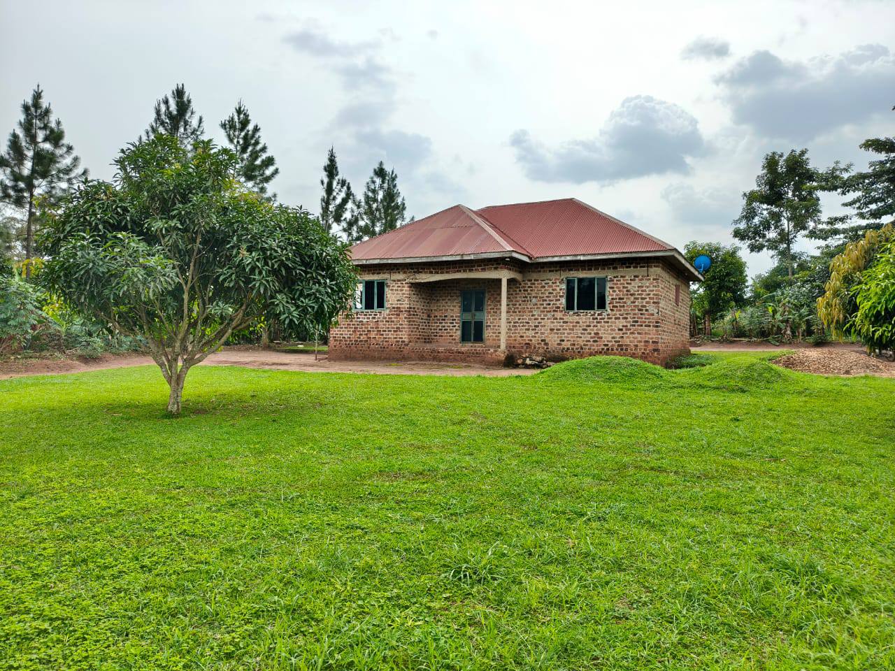 Mugwanya M.