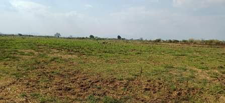 A picture of Kila ekari moja