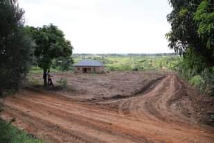 A picture of 50 100 Plots for sale