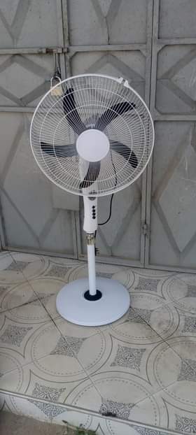A picture of Feni