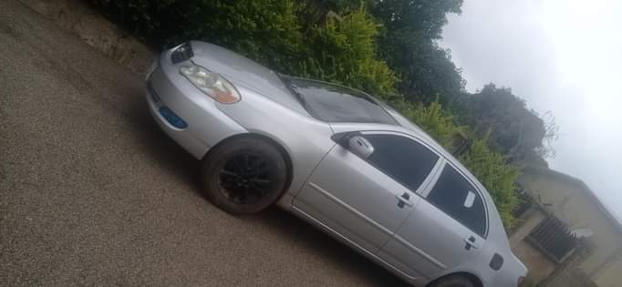 A picture of Toyota corolla