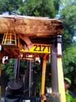 A picture of Fork lift for sale