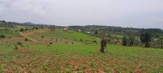 A picture of PLOTS AT KAKIRI GOBERO