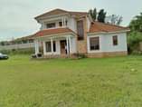 A picture of BANK PRESSURE JUCY DEAL UP FOR GRAB Posh house for