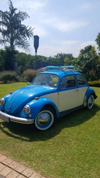 cheap cars ballito
