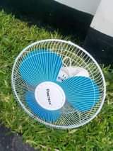 fans