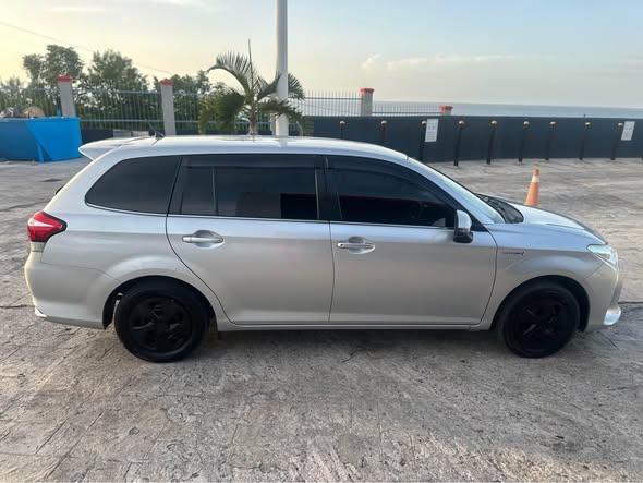 2019 cars
