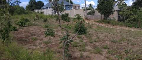 A picture of Kiwanja kinauzwa Tegeta A mtaa wa Bafaka sqm 1 800