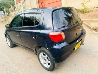 A picture of Vitz
