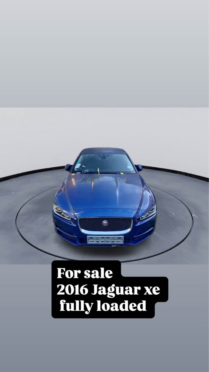 jaguar