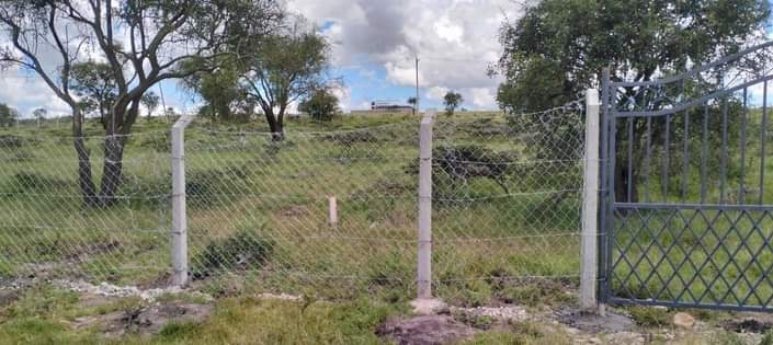 50 100 plots