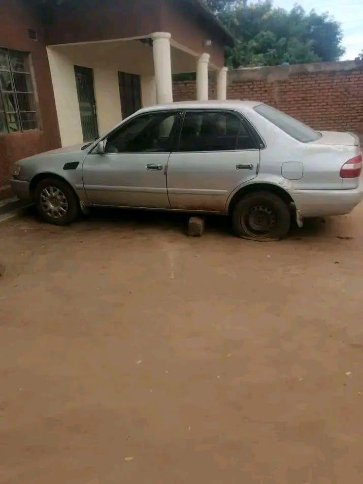 used toyota corolla
