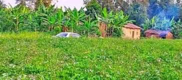 A picture of Plot on quick sale 50 by 100ft 6 8M with