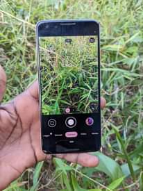 A picture of Google pixel 3 krek kdg wah gb64 ram4 net4g 0686820249