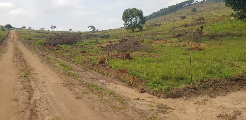 A picture of WAKISO NAMAYUMBA TOWN ESTATE 10M 12M 14M